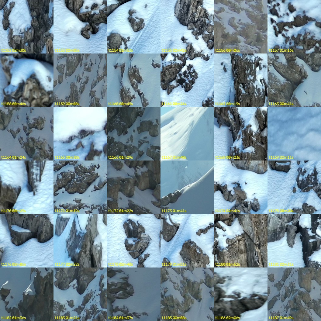 montage_32.jpg