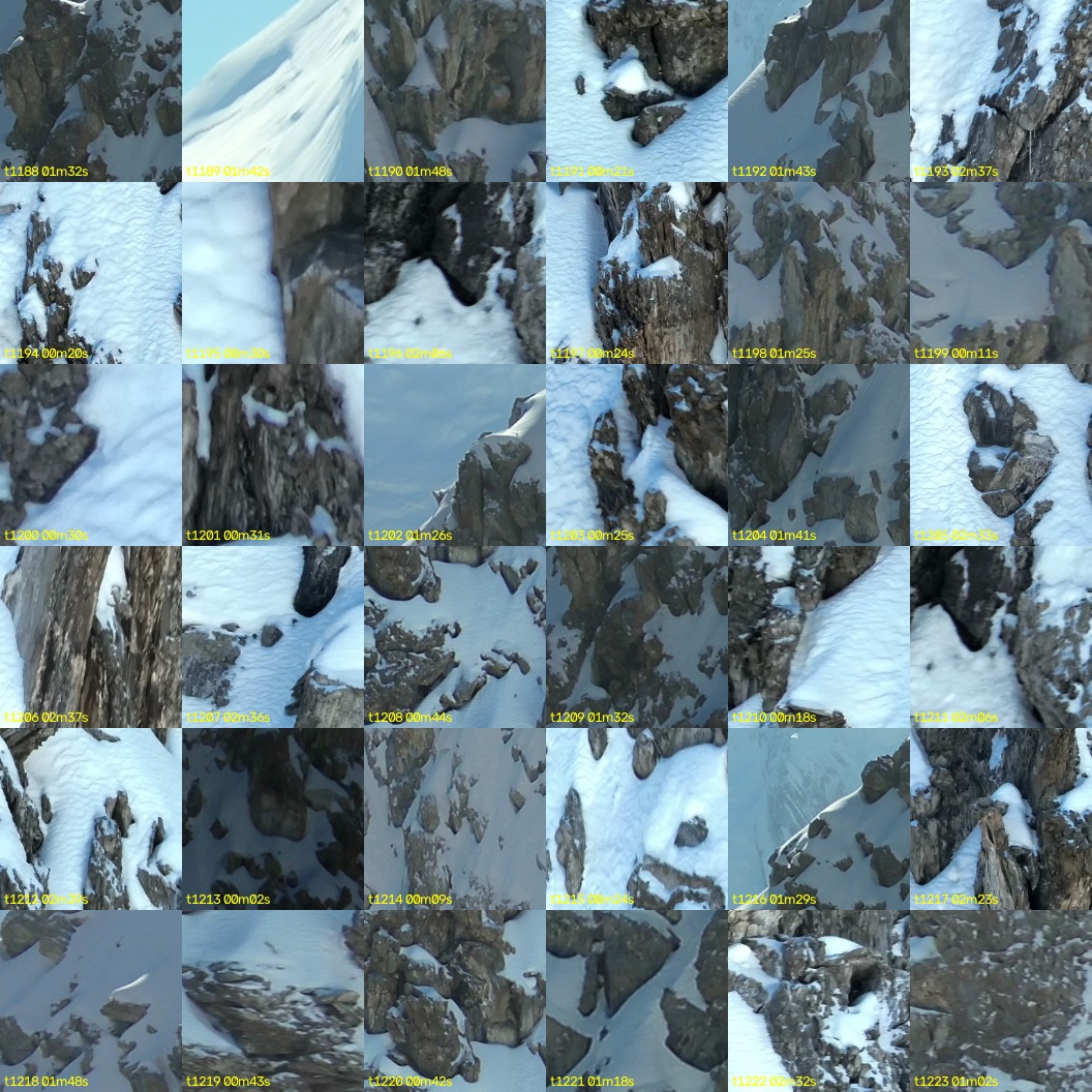 montage_33.jpg