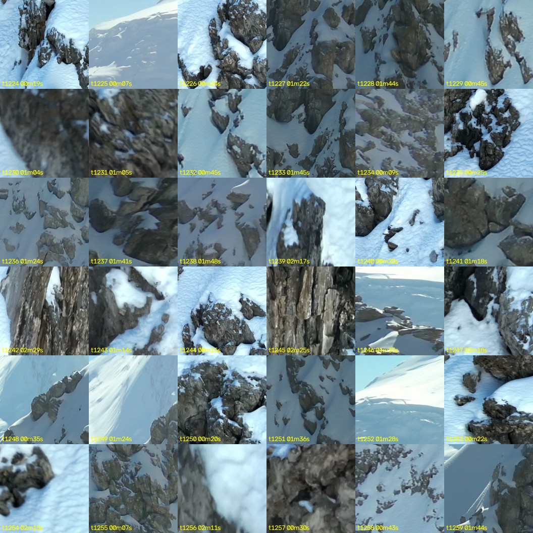 montage_34.jpg