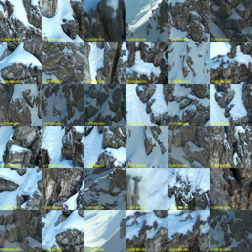 montage_35.jpg