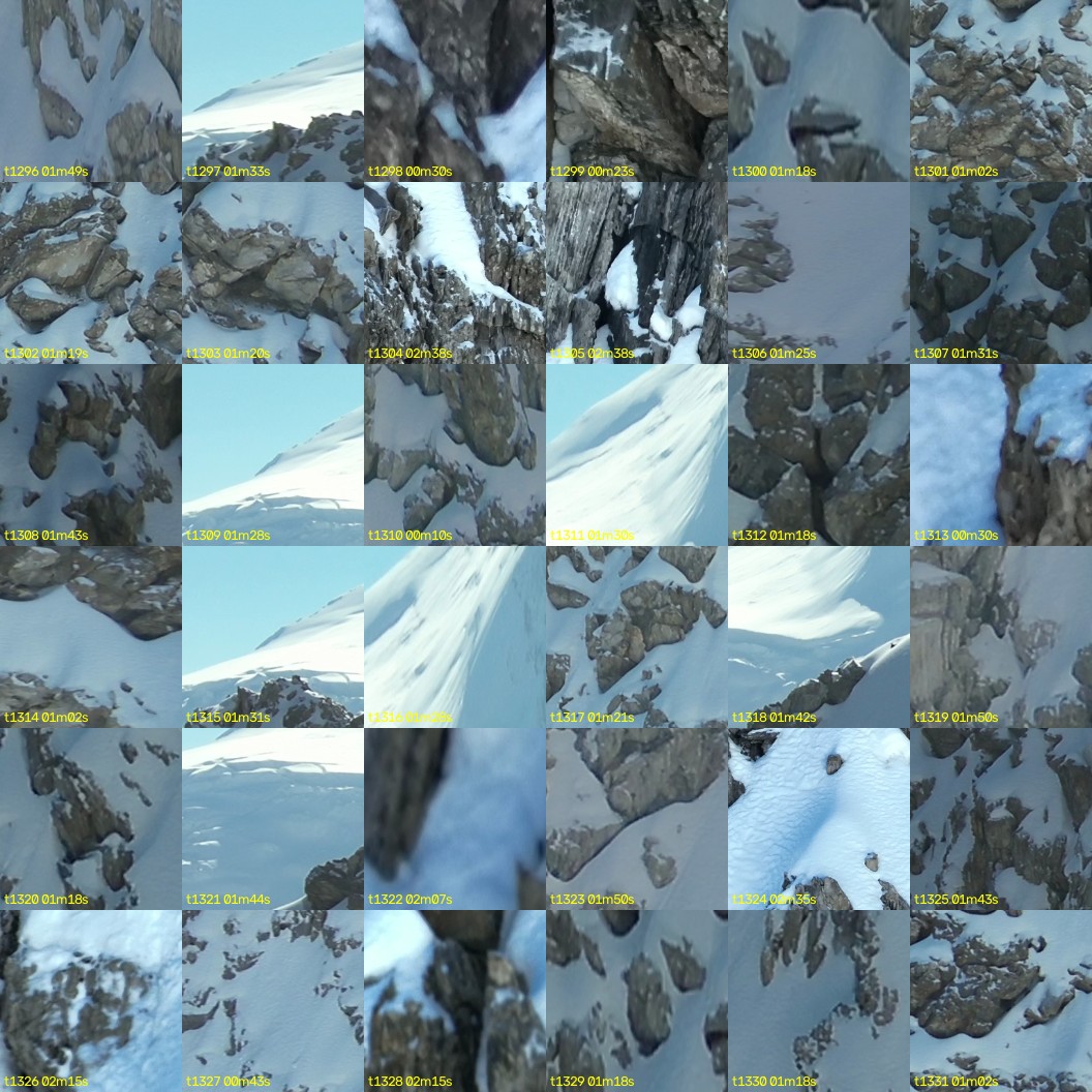 montage_36.jpg
