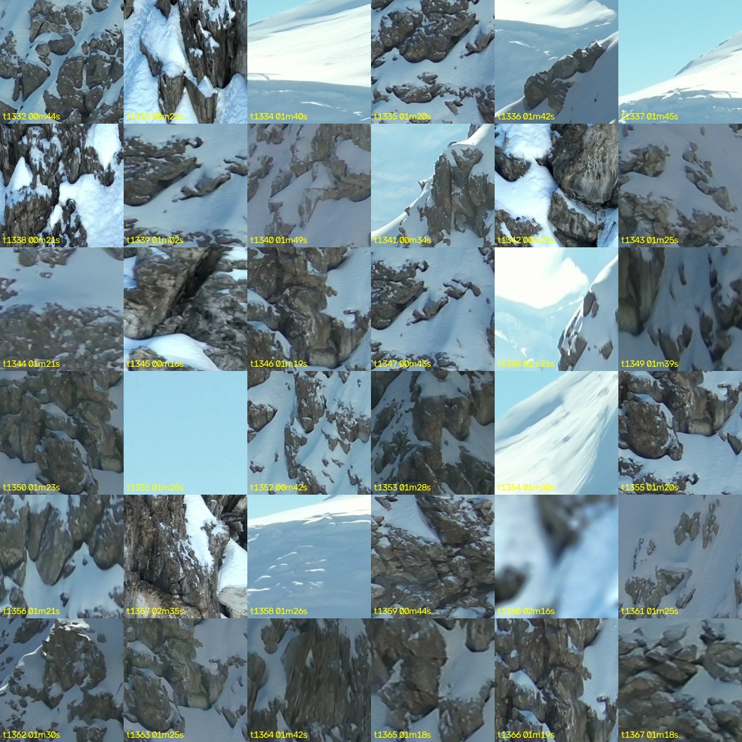 montage_37.jpg