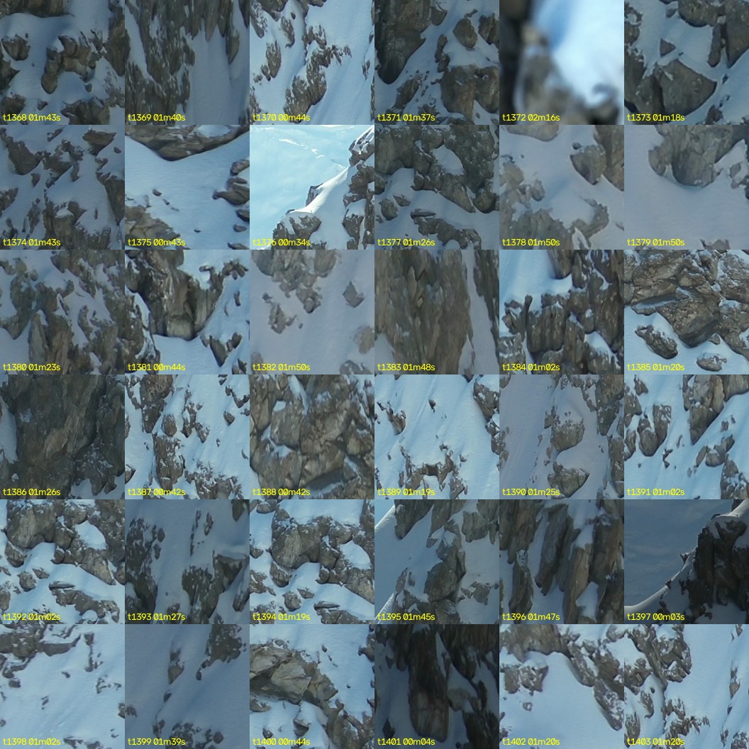 montage_38.jpg