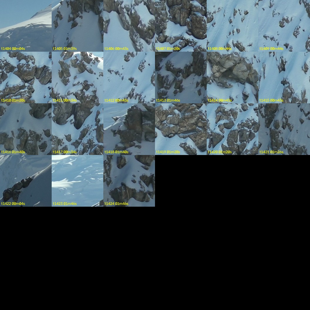 montage_39.jpg
