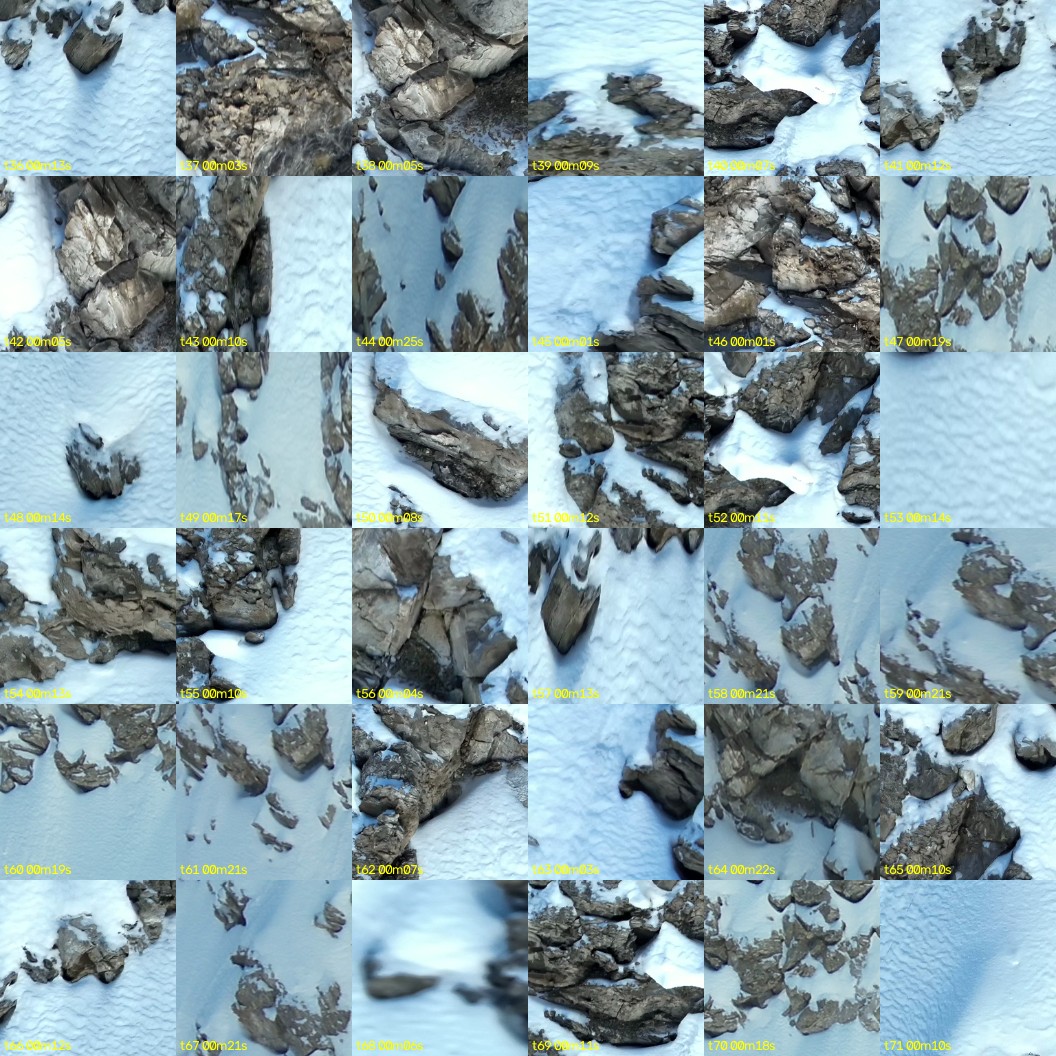 montage_01.jpg