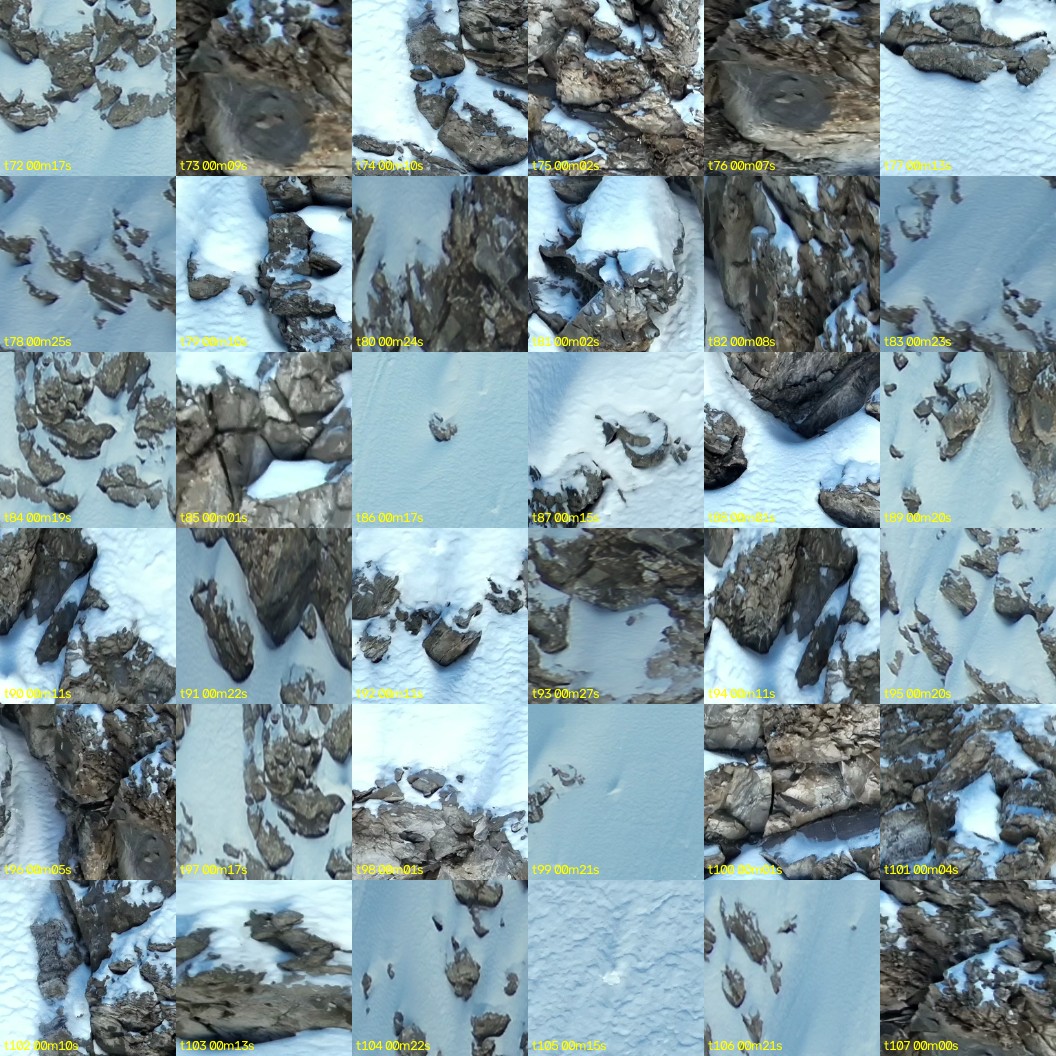 montage_02.jpg
