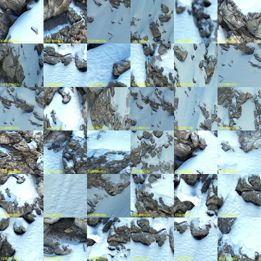 montage_03.jpg