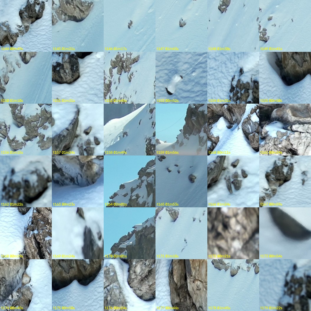 montage_04.jpg