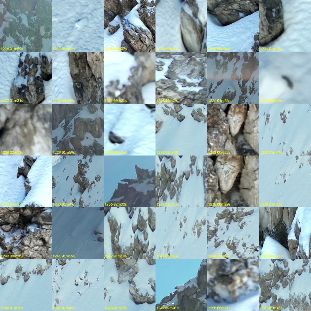 montage_06.jpg