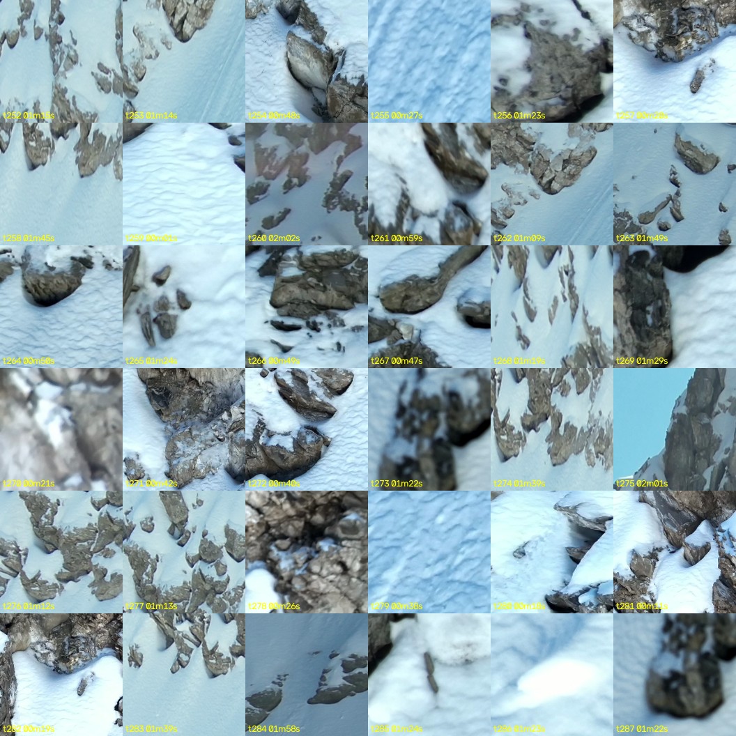 montage_07.jpg