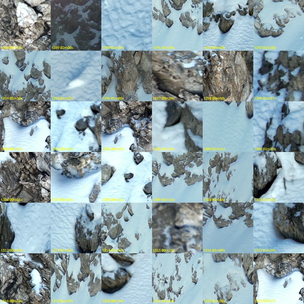 montage_08.jpg