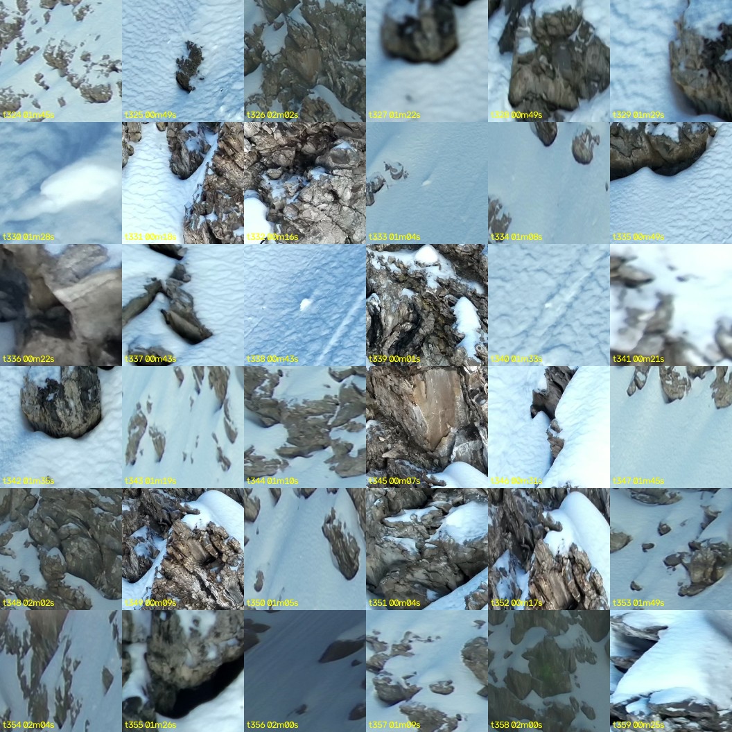 montage_09.jpg