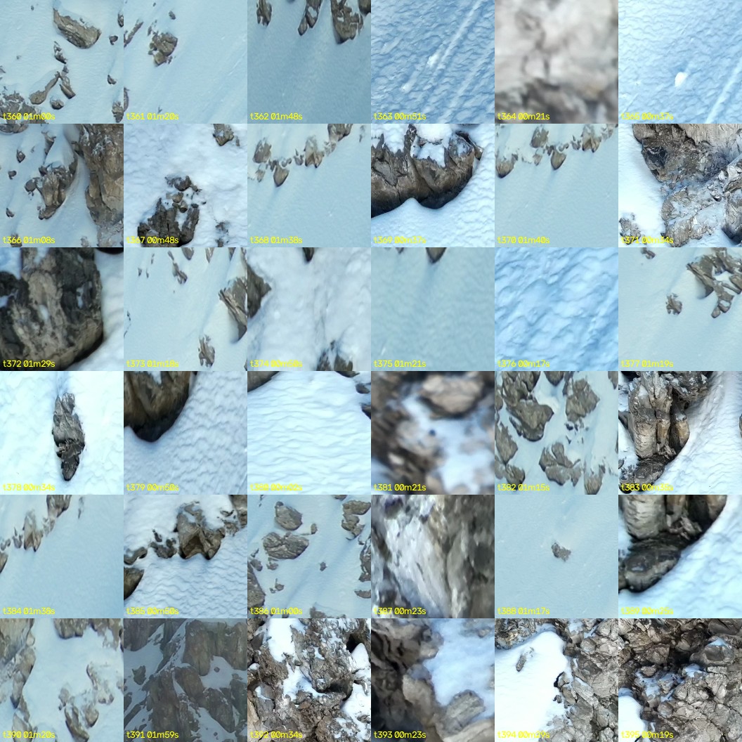 montage_10.jpg