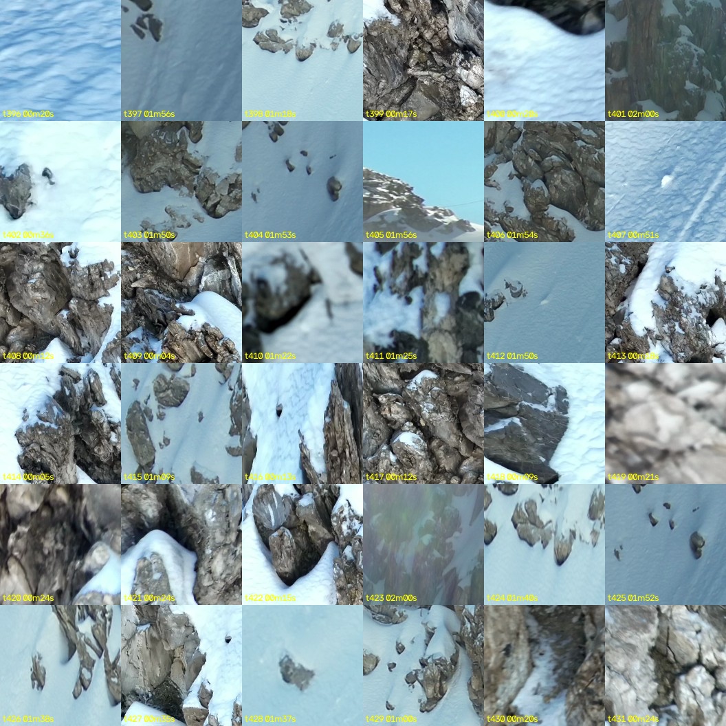 montage_11.jpg