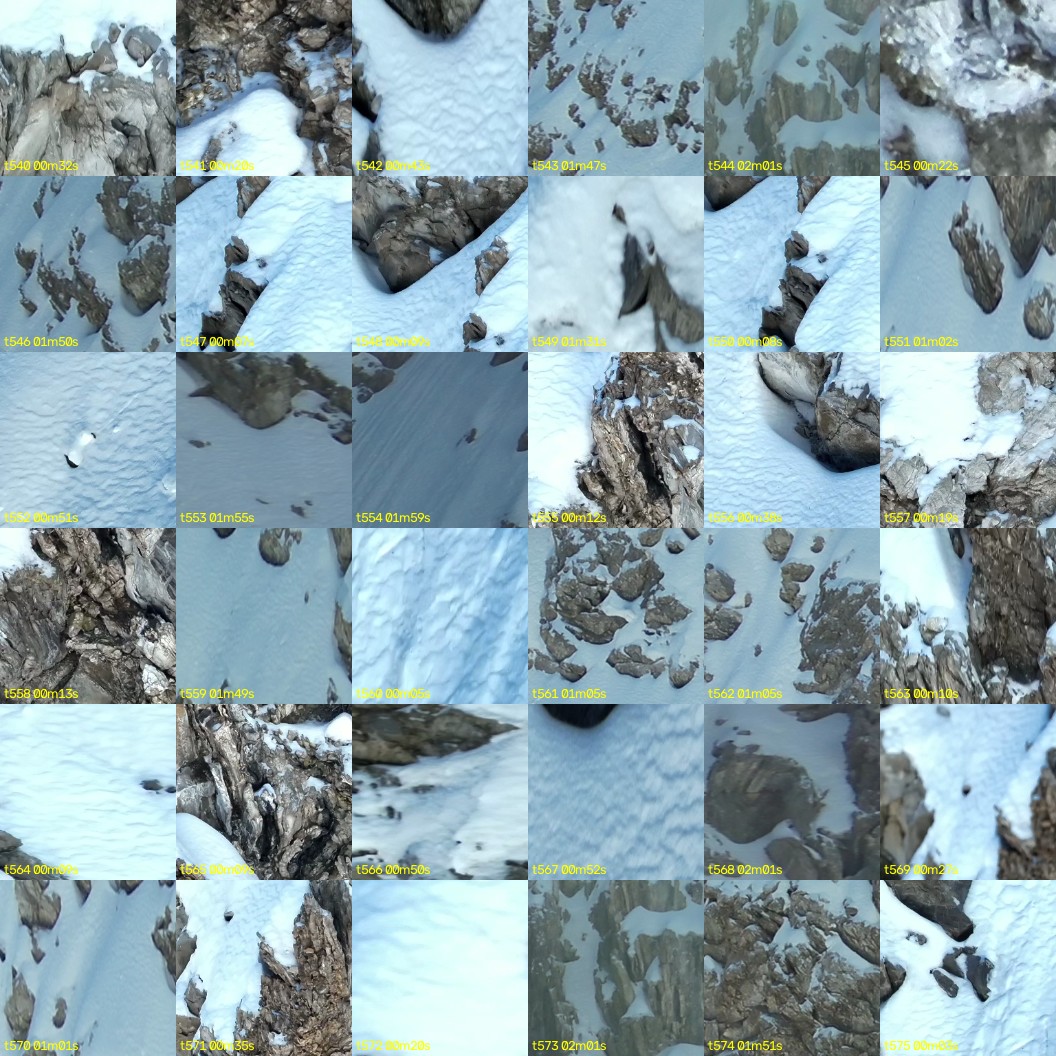 montage_15.jpg