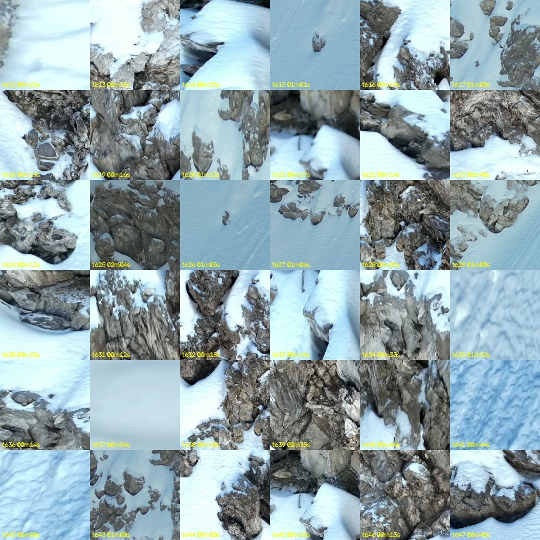montage_17.jpg
