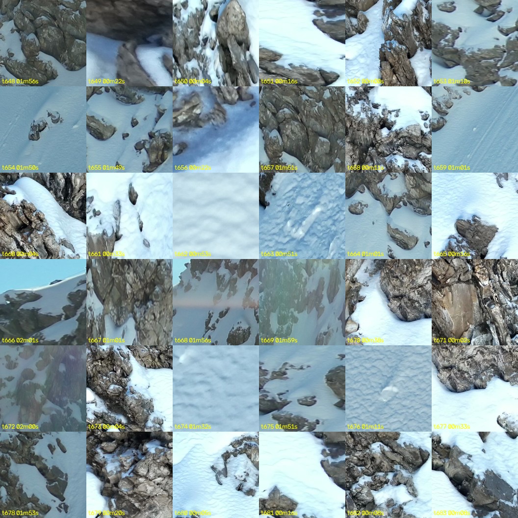 montage_18.jpg