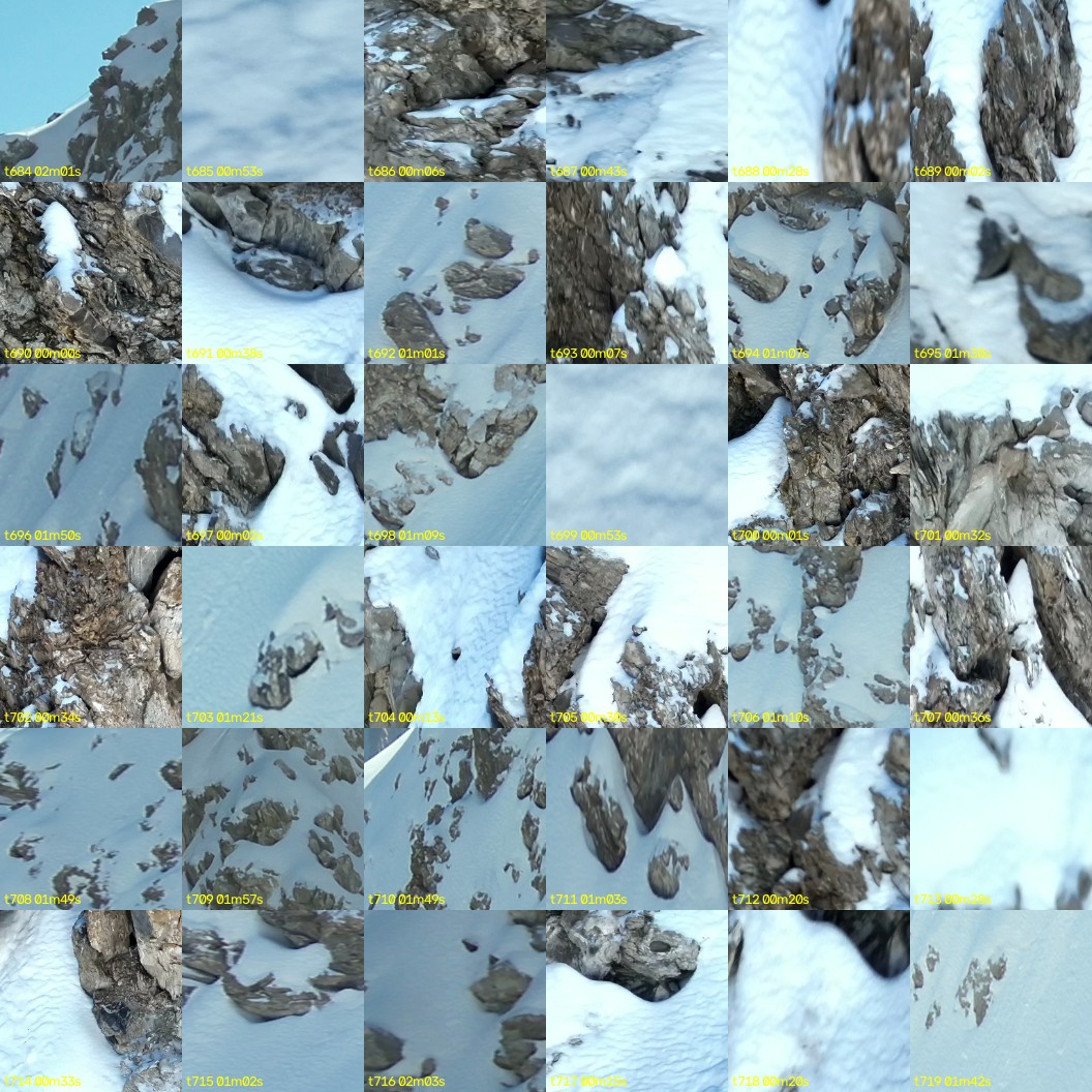 montage_19.jpg