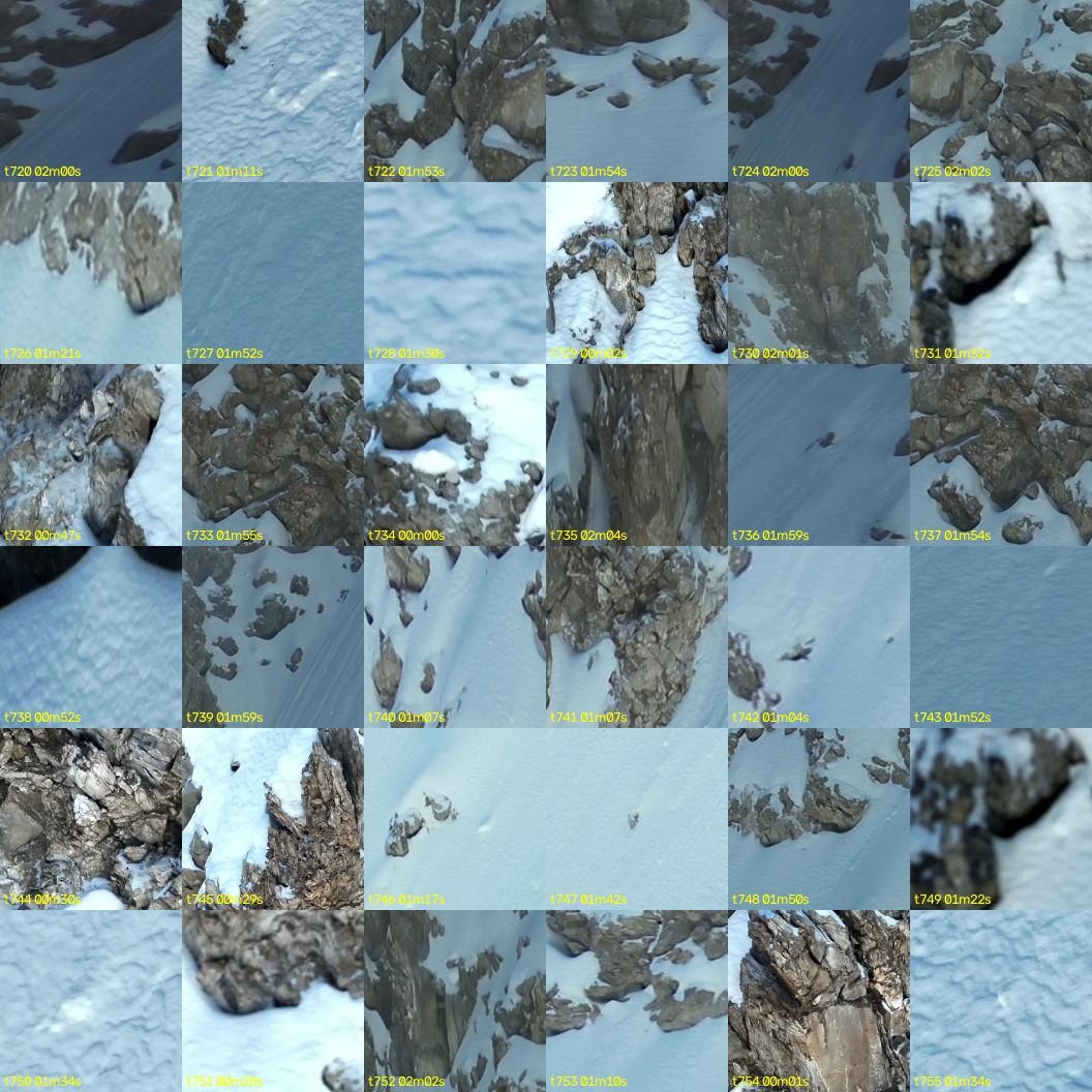 montage_20.jpg