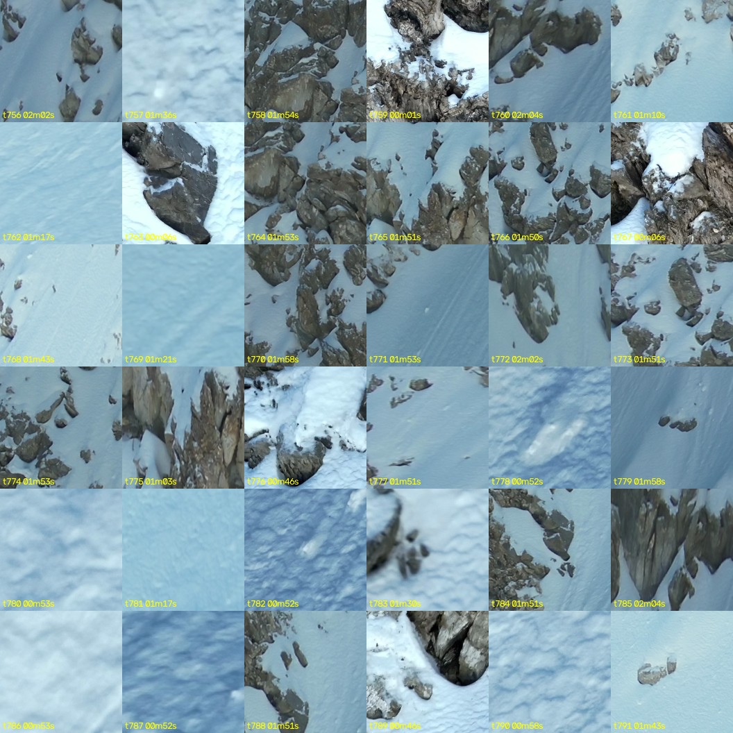 montage_21.jpg