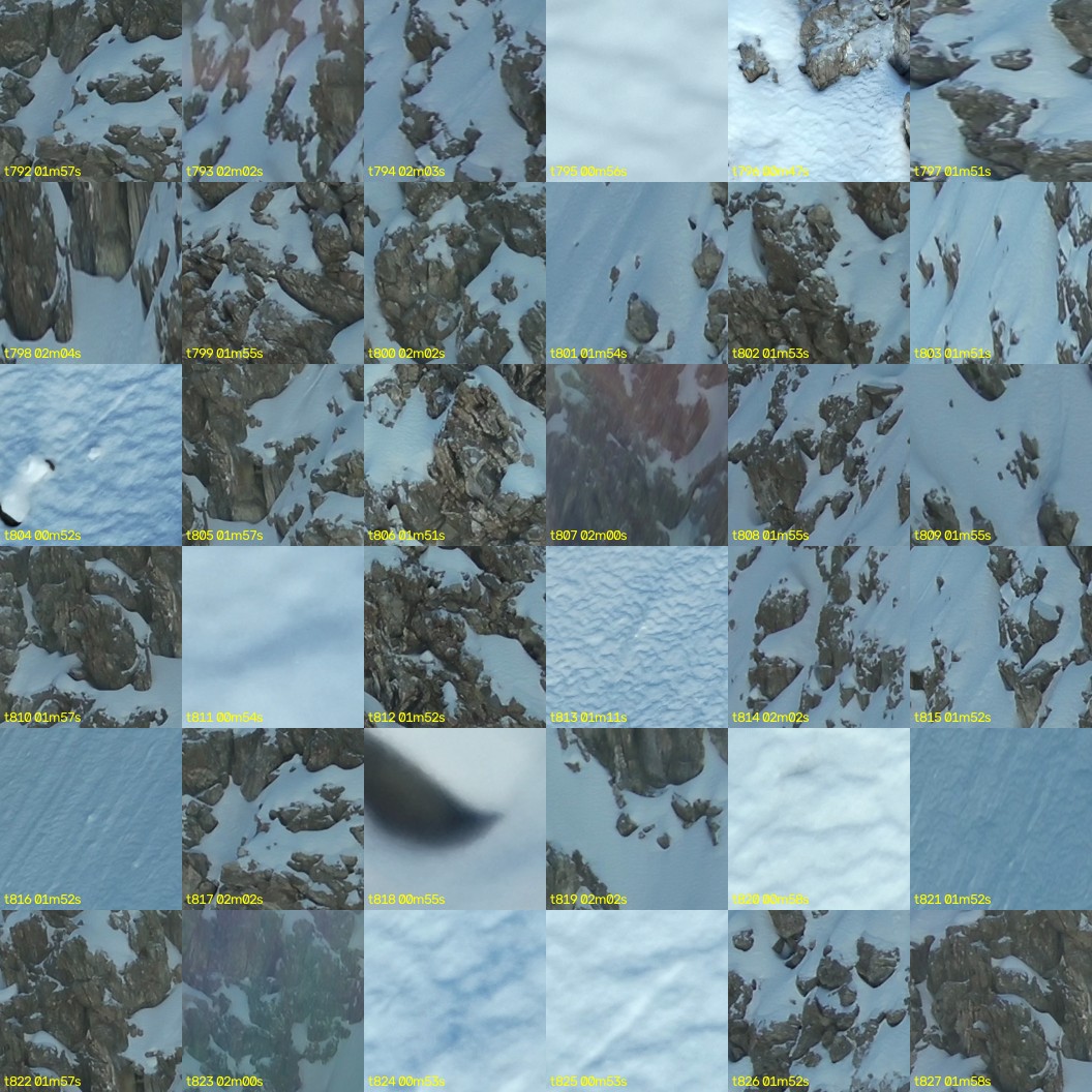 montage_22.jpg