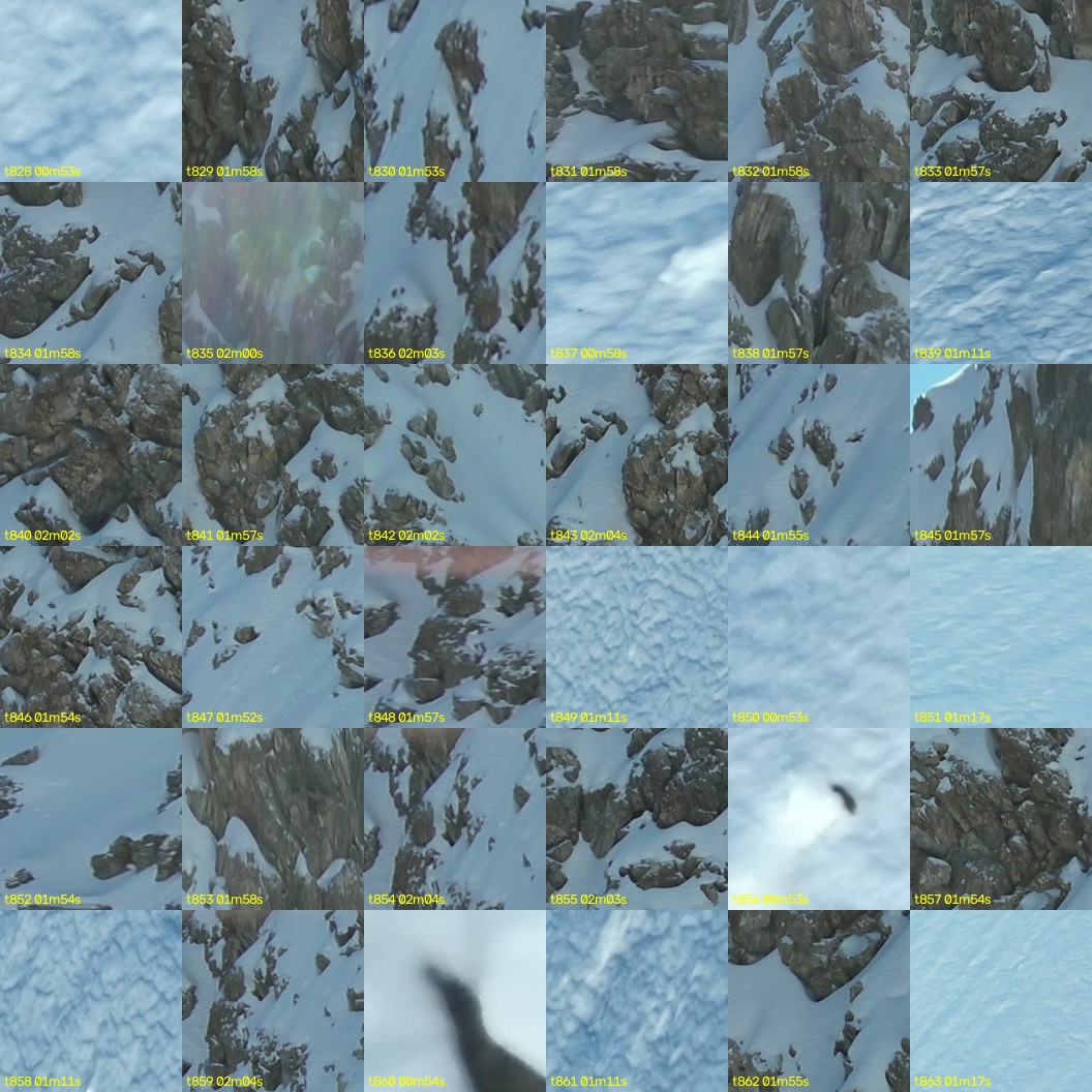 montage_23.jpg