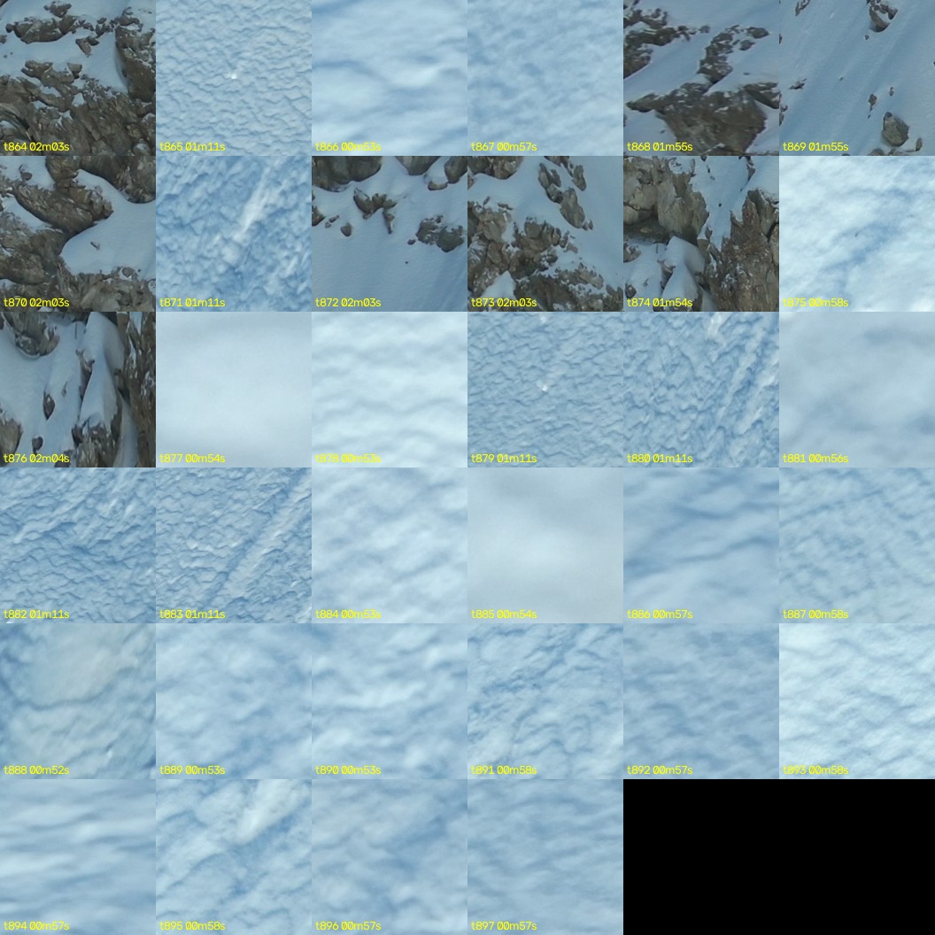 montage_24.jpg
