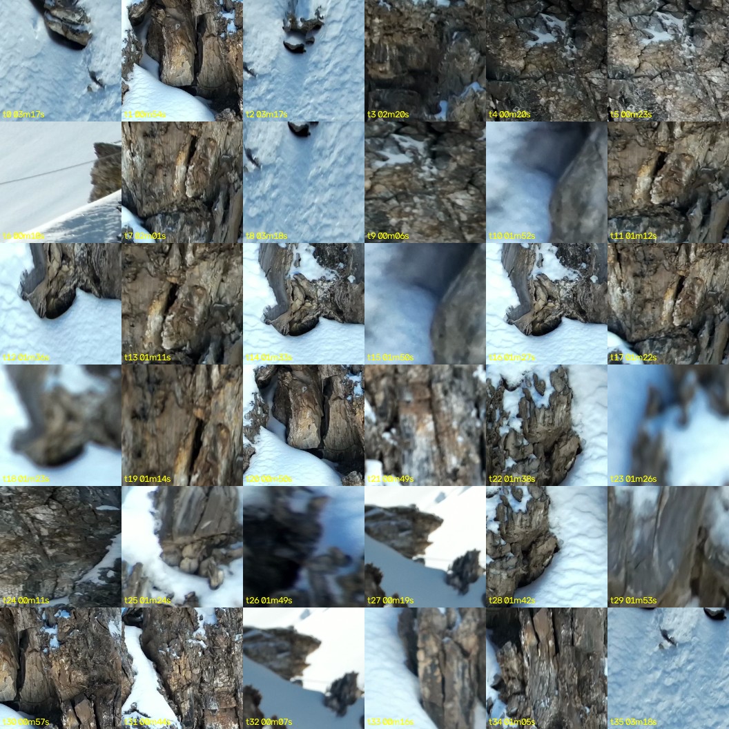 montage_00.jpg