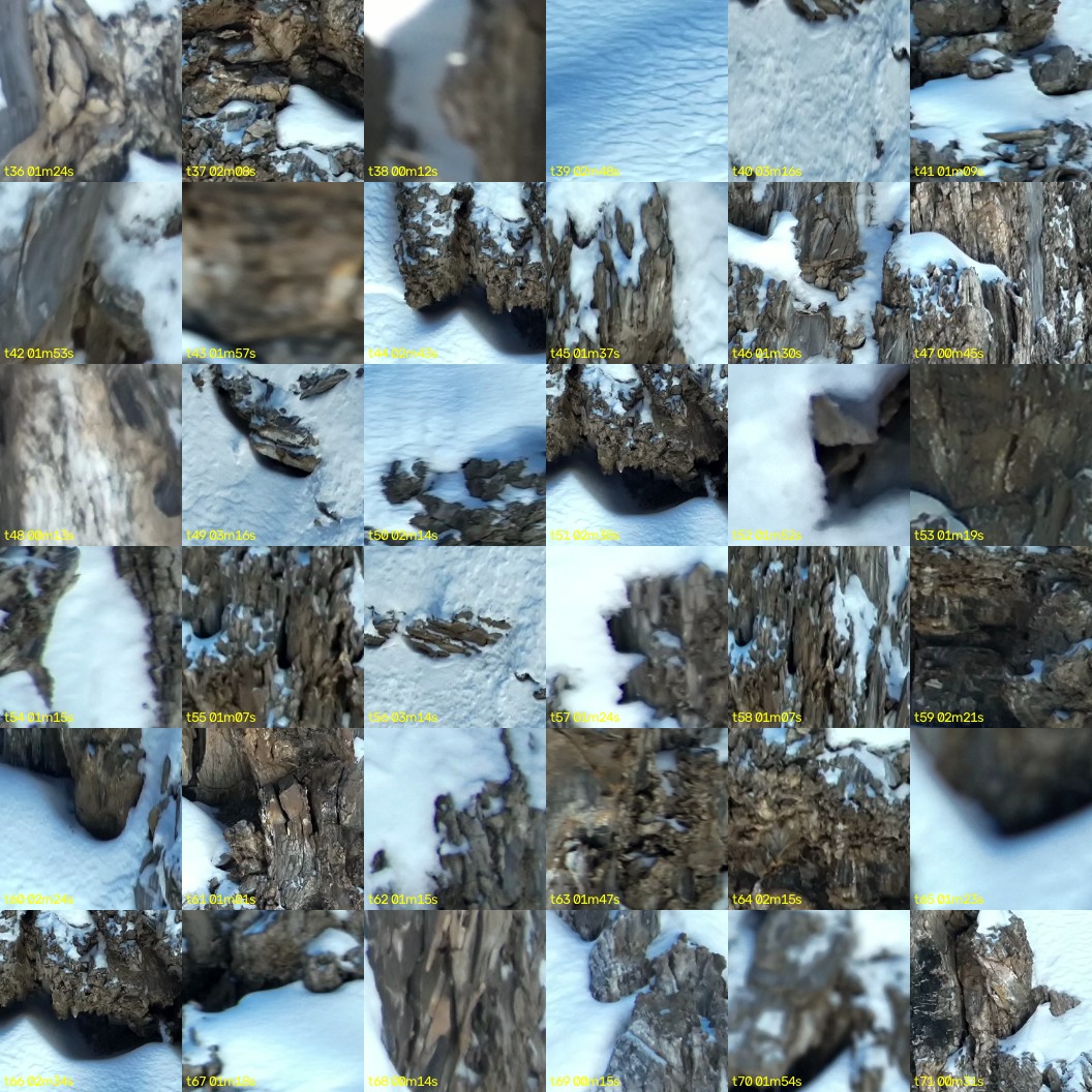 montage_01.jpg