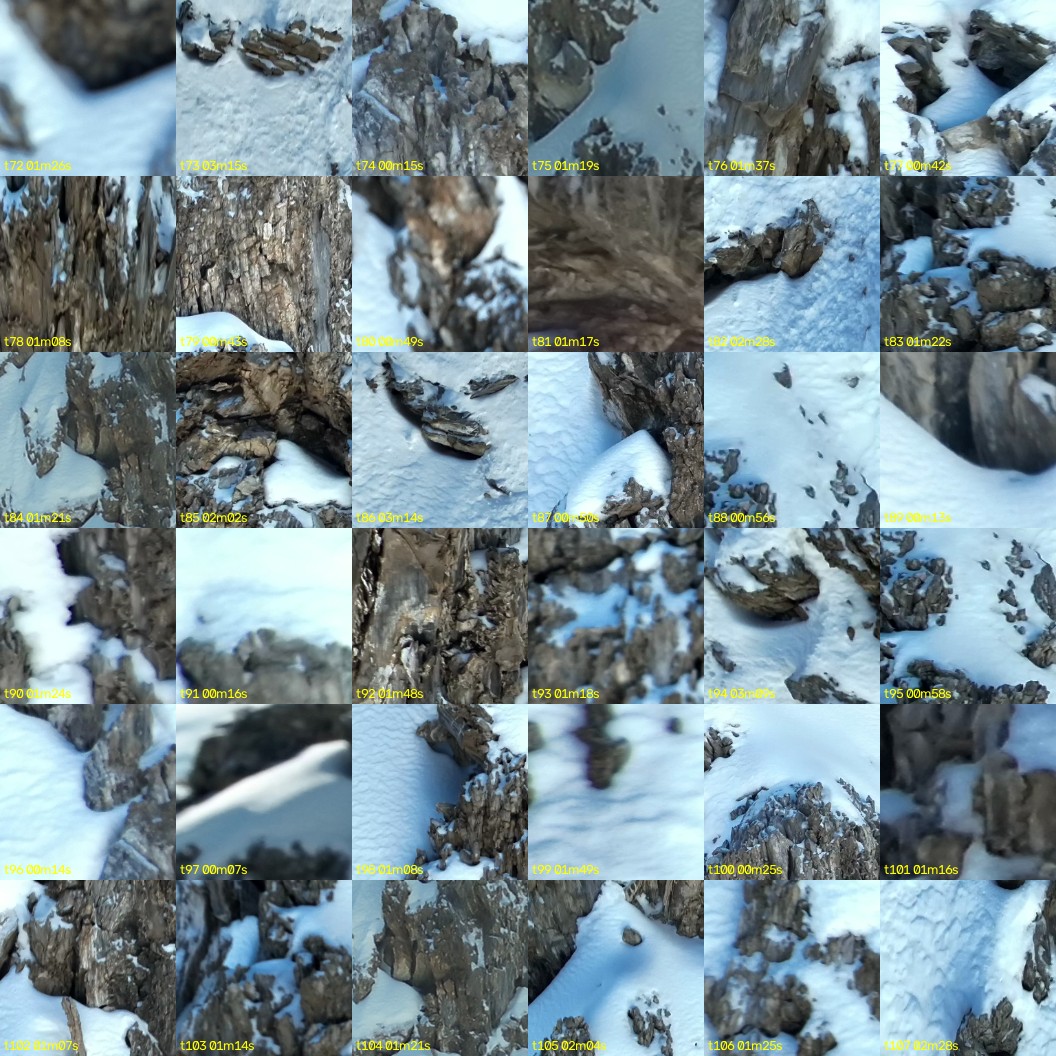 montage_02.jpg