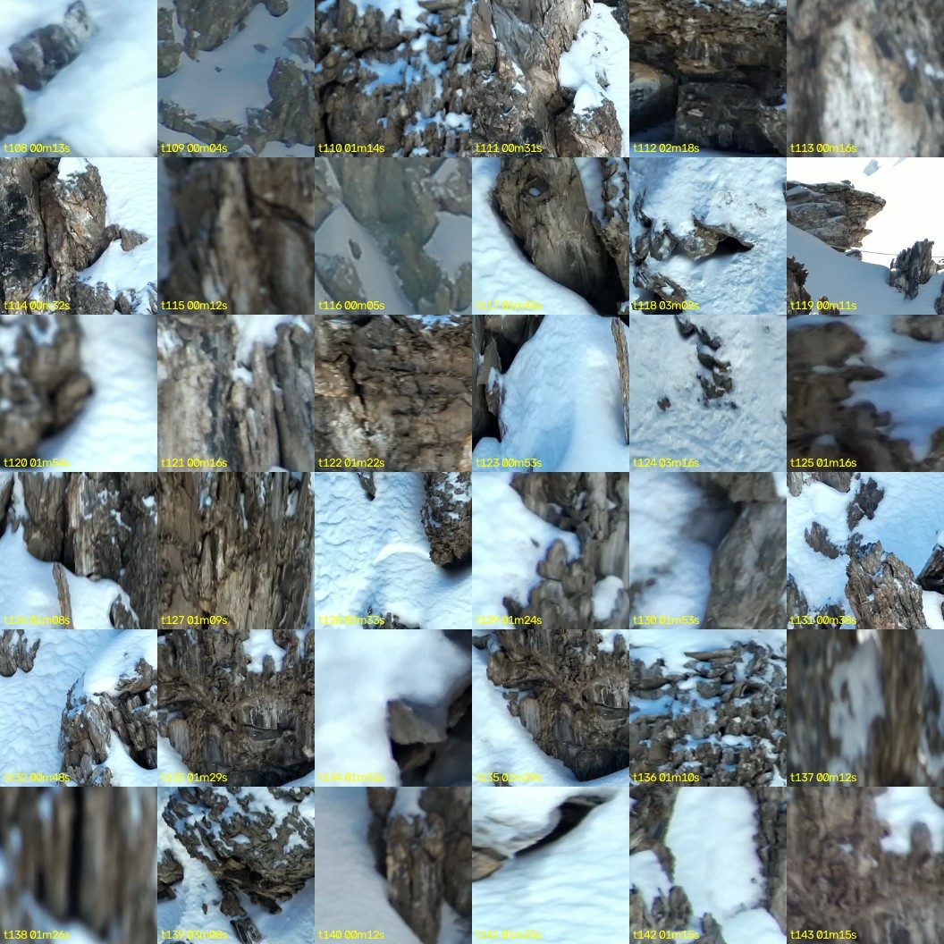montage_03.jpg