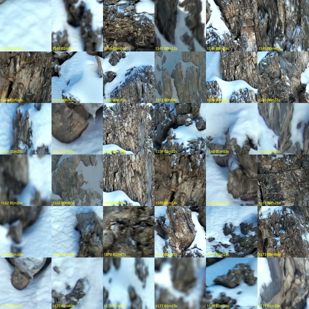 montage_04.jpg