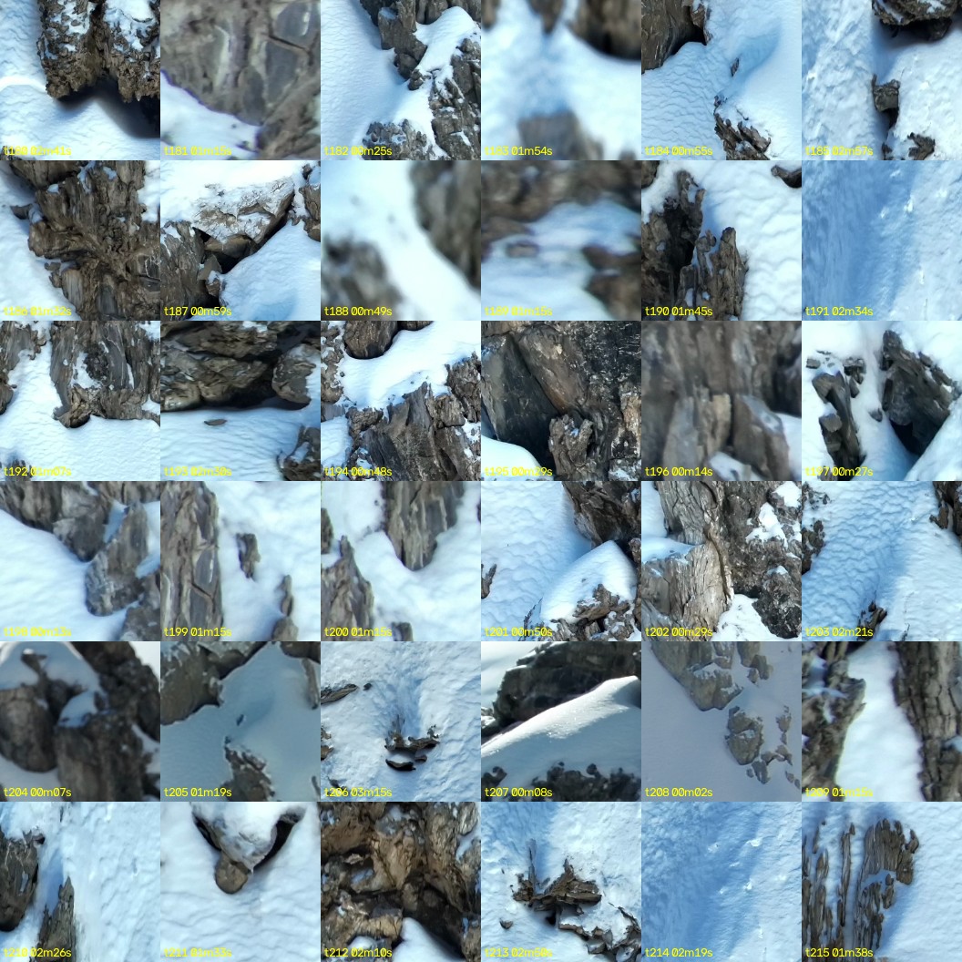 montage_05.jpg