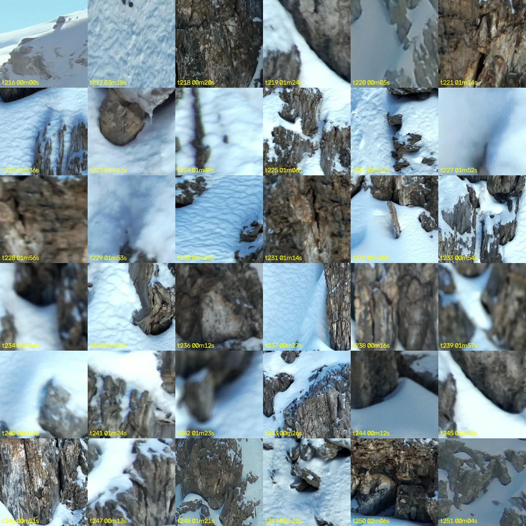 montage_06.jpg
