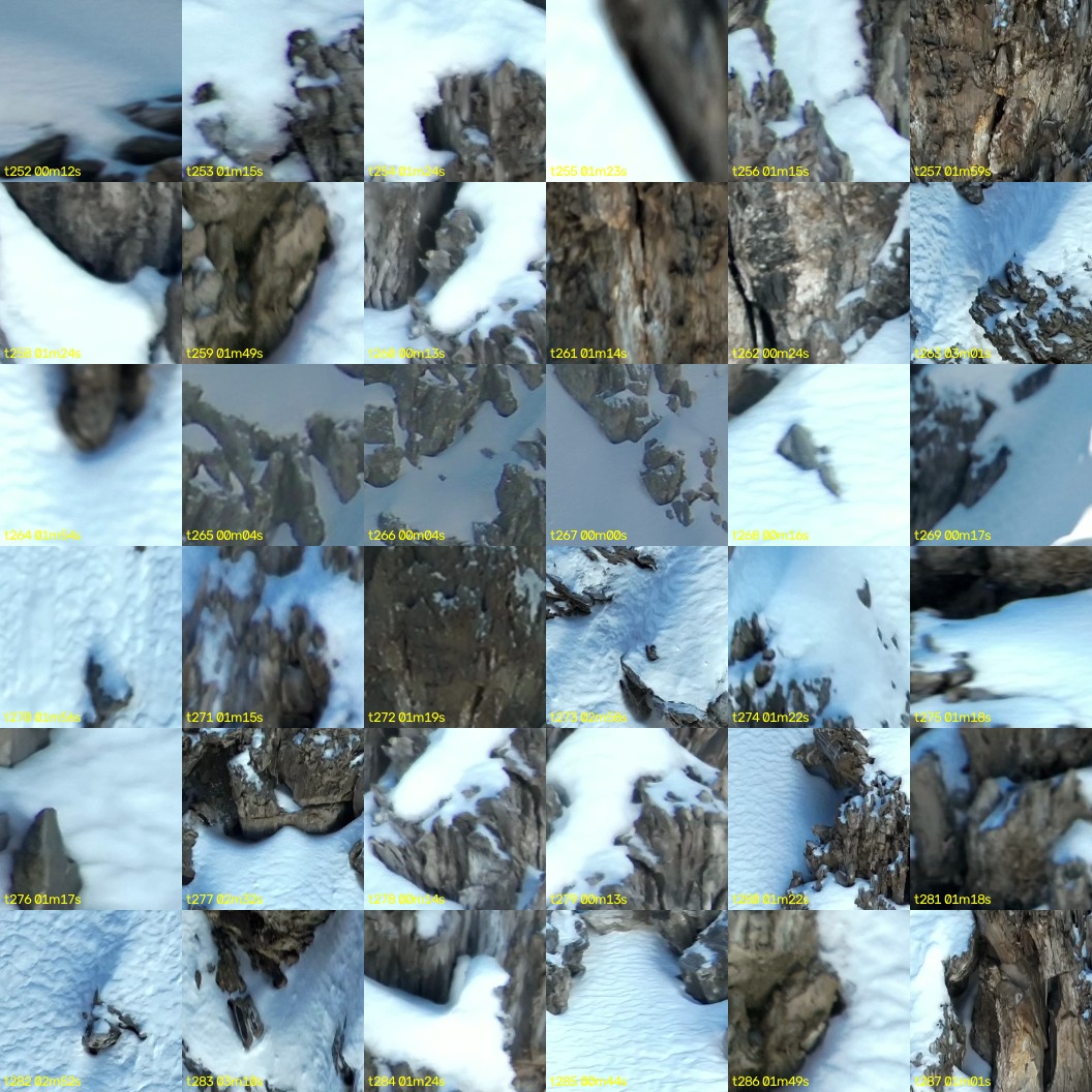 montage_07.jpg