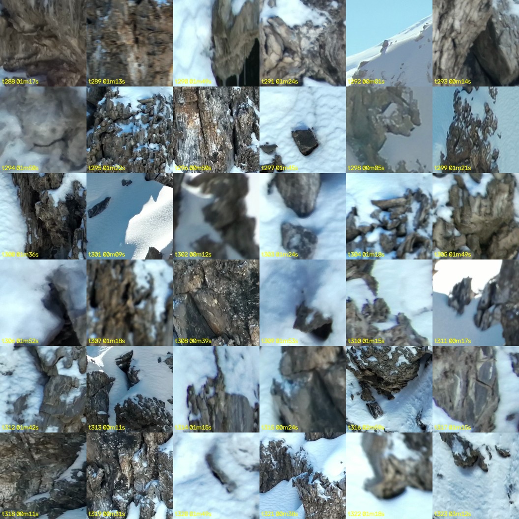 montage_08.jpg