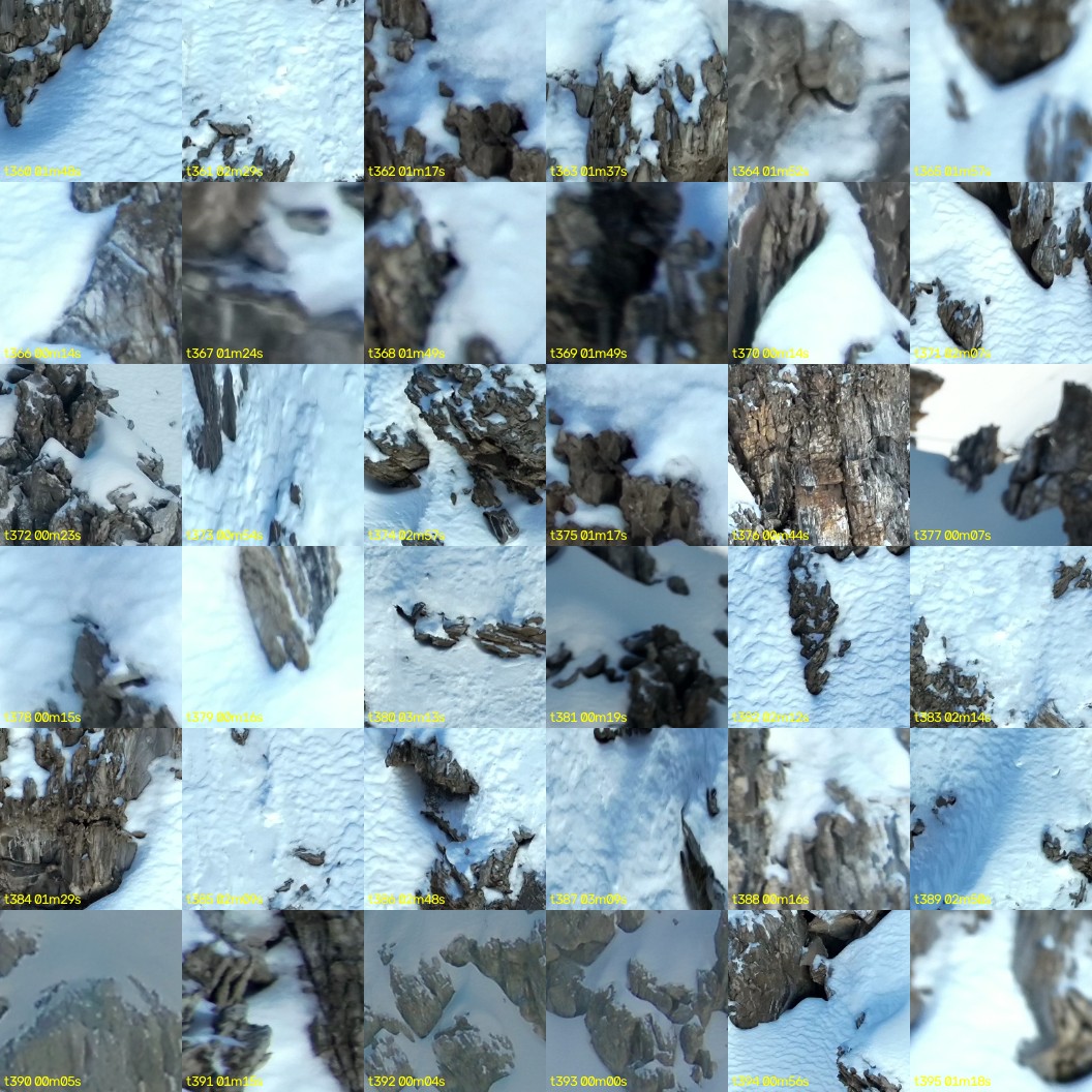 montage_10.jpg