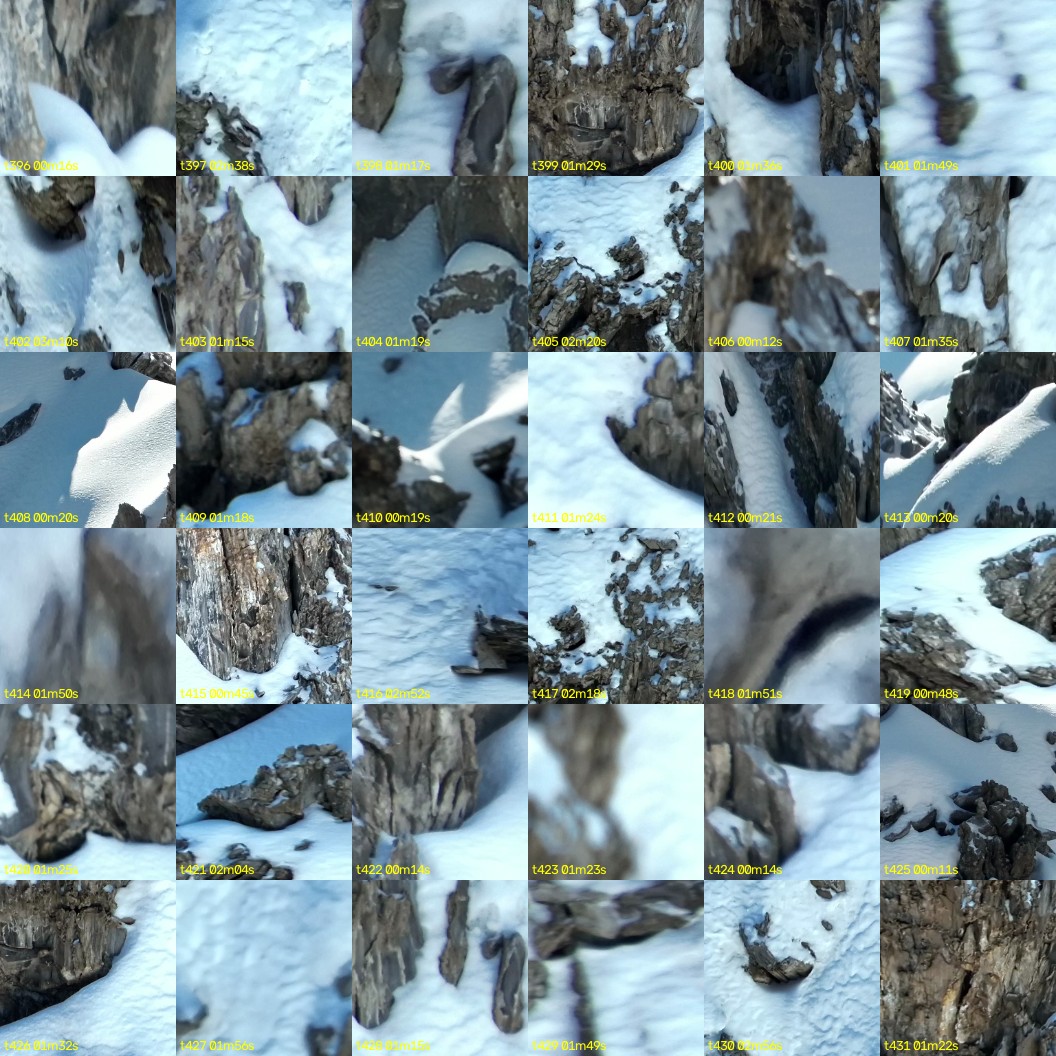 montage_11.jpg