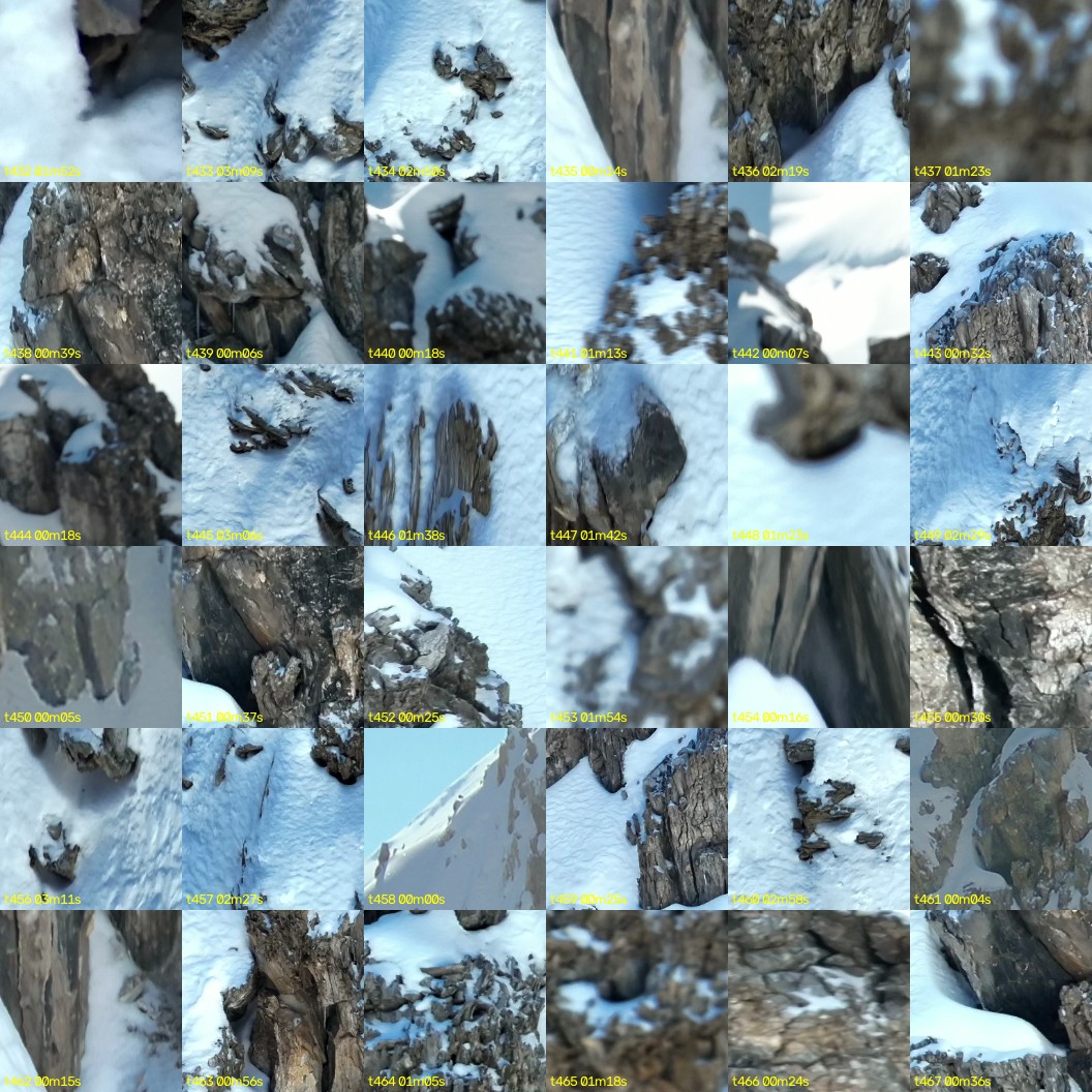 montage_12.jpg