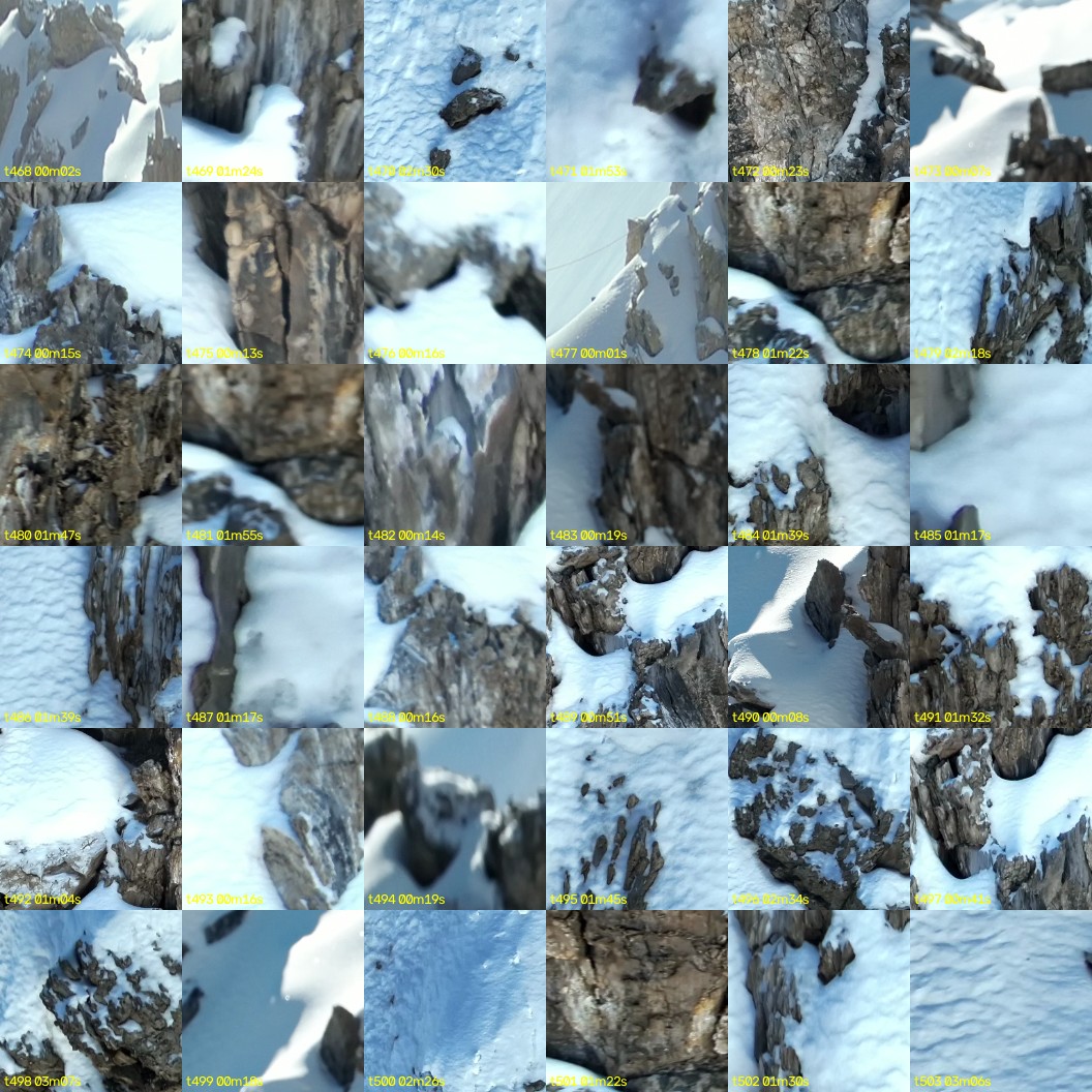 montage_13.jpg