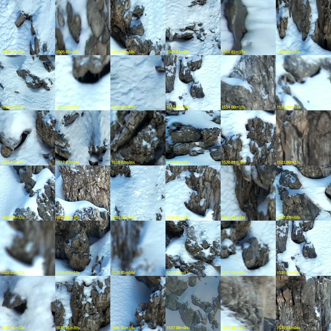 montage_14.jpg