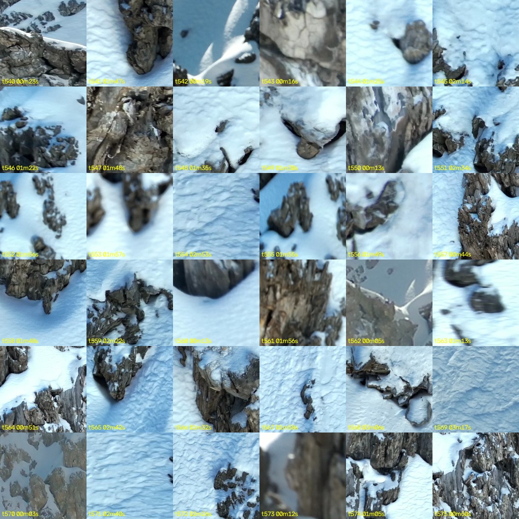 montage_15.jpg