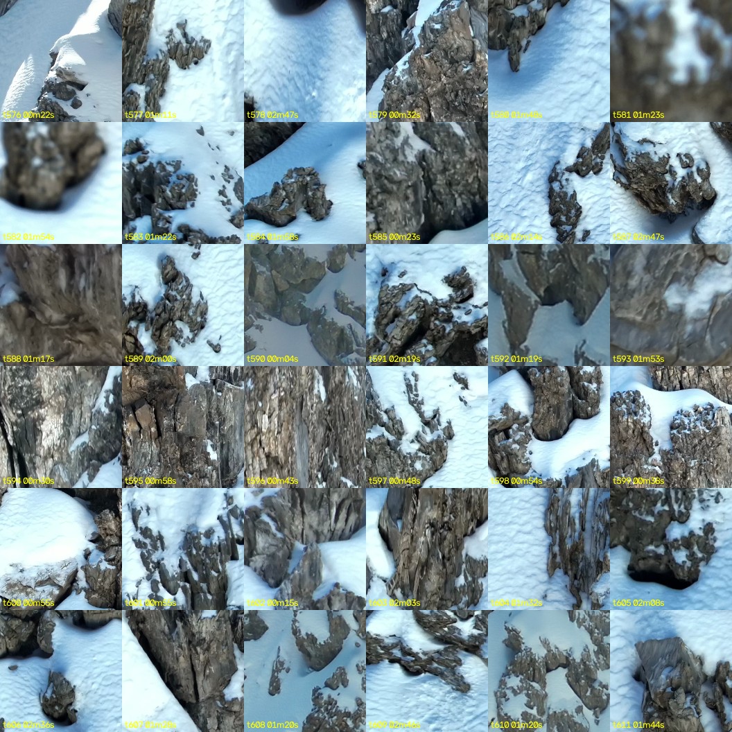 montage_16.jpg