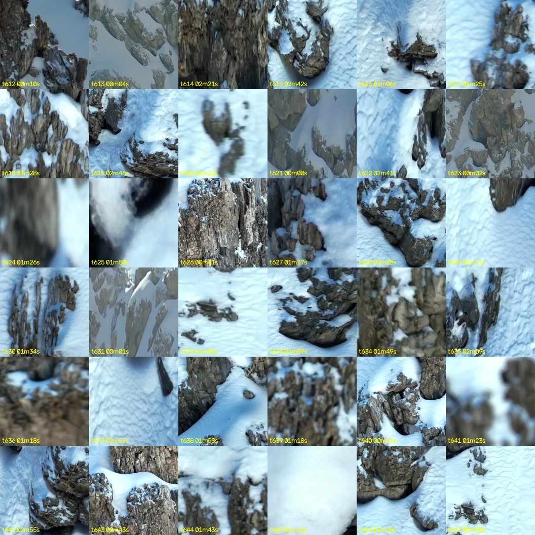 montage_17.jpg