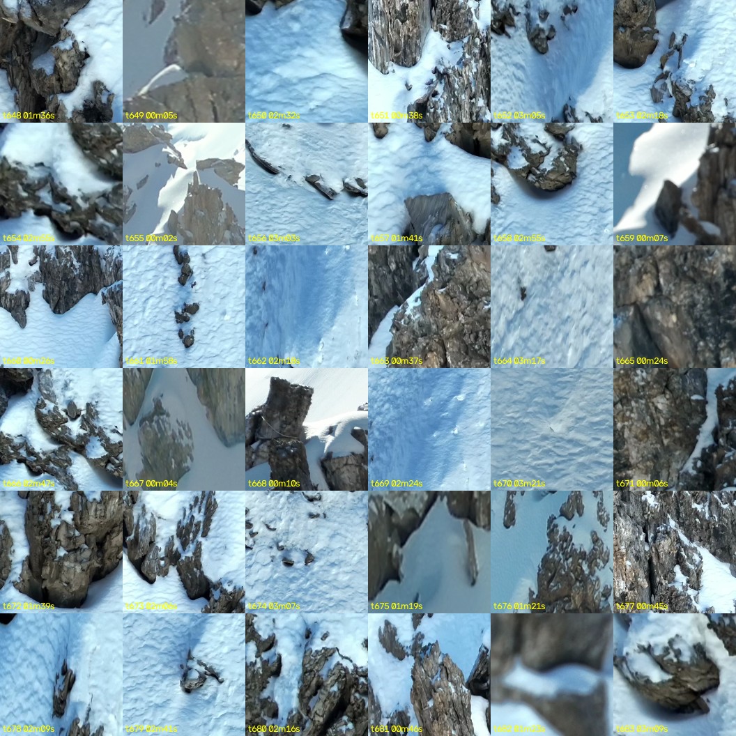 montage_18.jpg