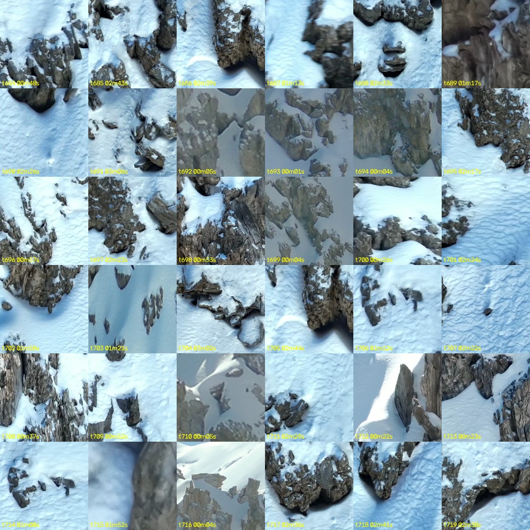 montage_19.jpg