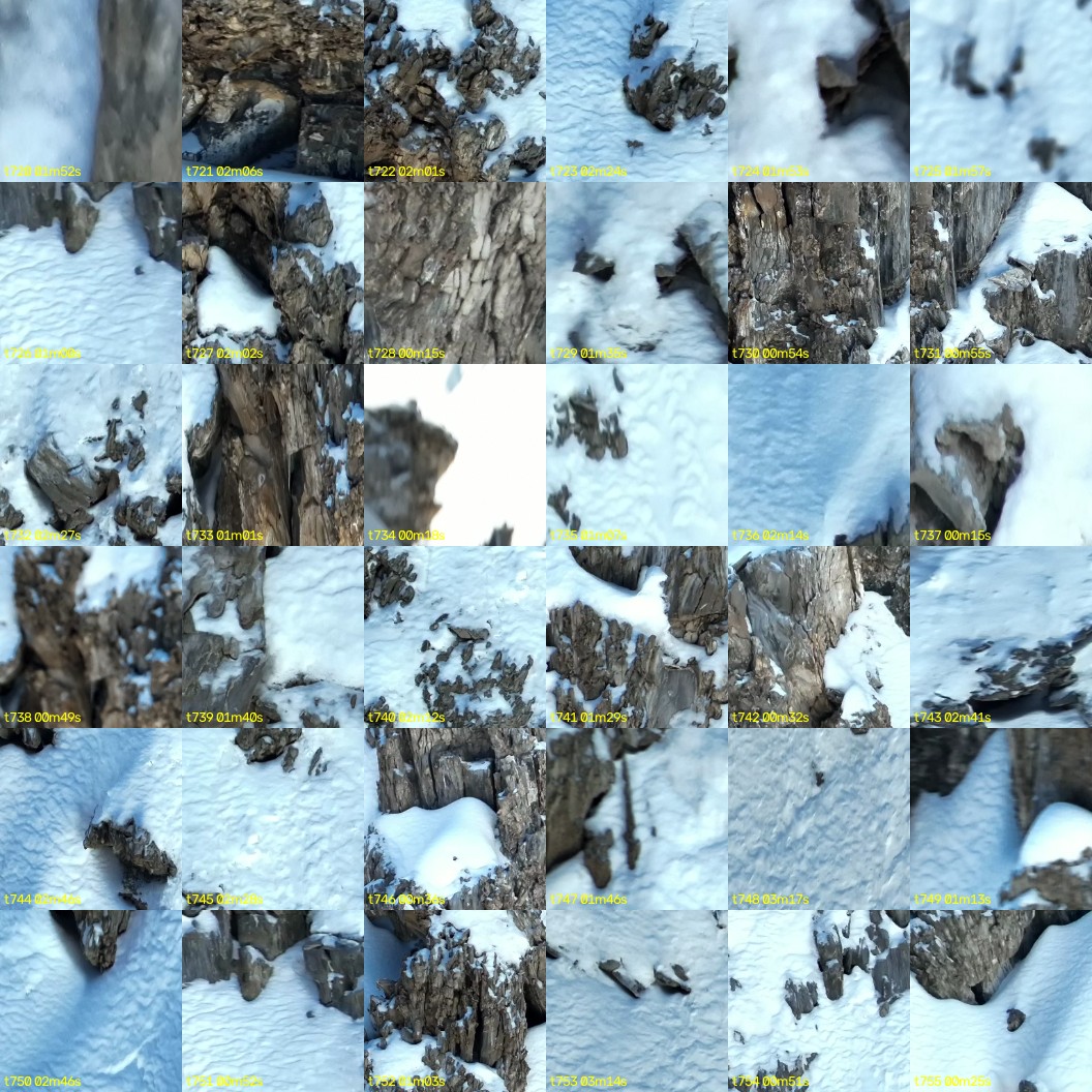 montage_20.jpg