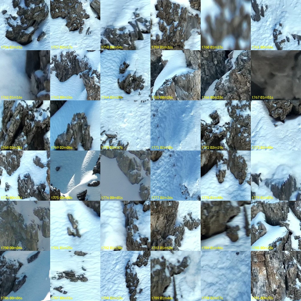 montage_21.jpg