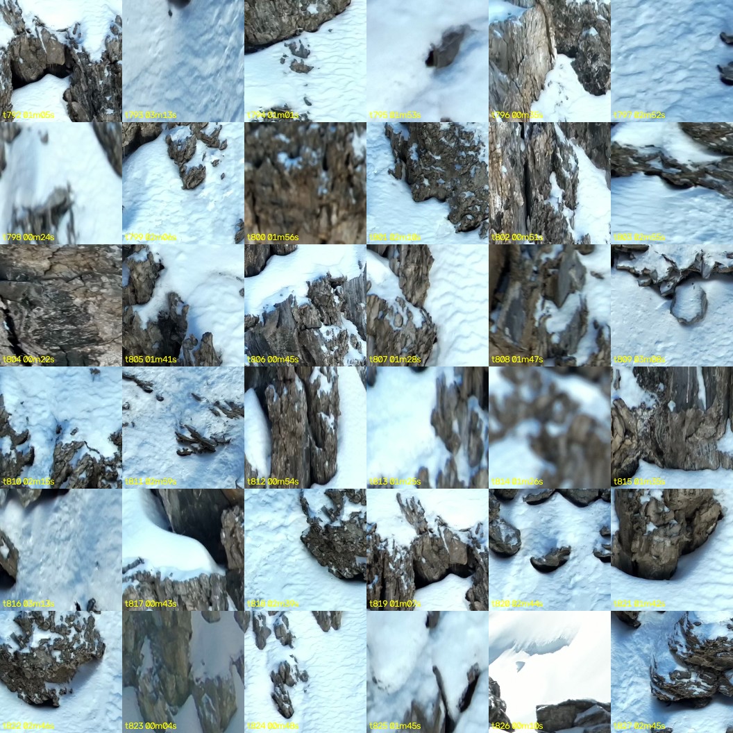 montage_22.jpg