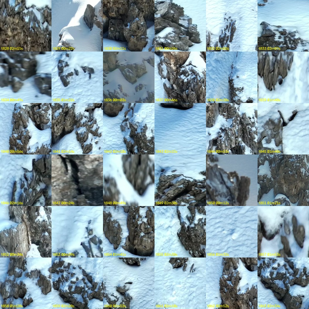 montage_23.jpg